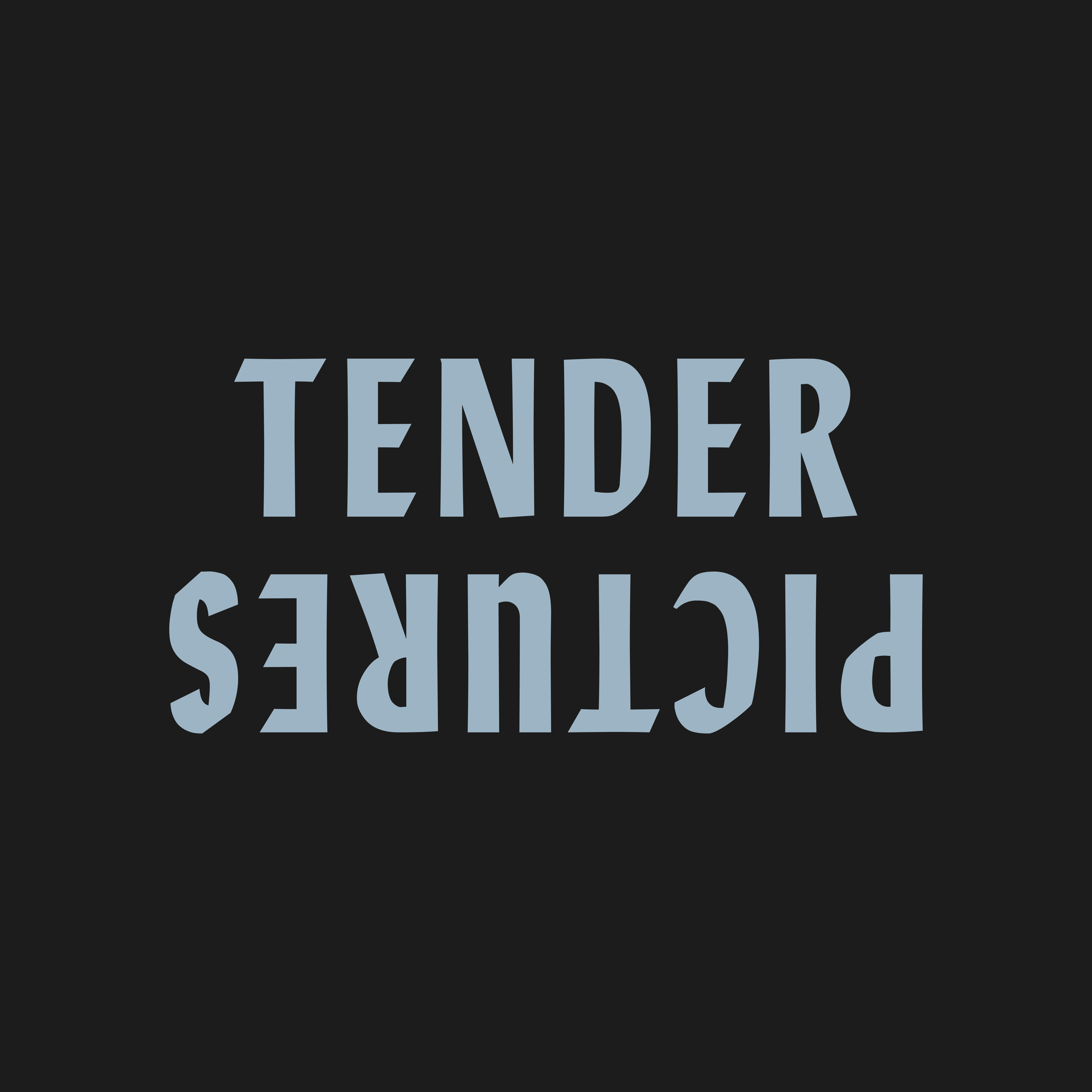 Tender Pictures logo
